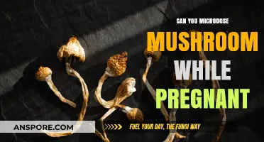 Microdosing Mushrooms During Pregnancy: Risks, Safety, and Expert Advice