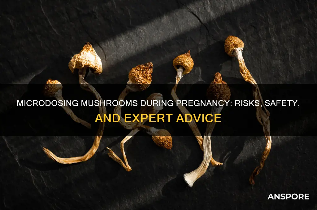 can you microdose mushrooms while pregnant