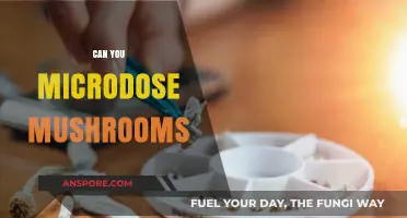 Exploring Microdosing: Benefits, Risks, and How to Safely Microdose Mushrooms