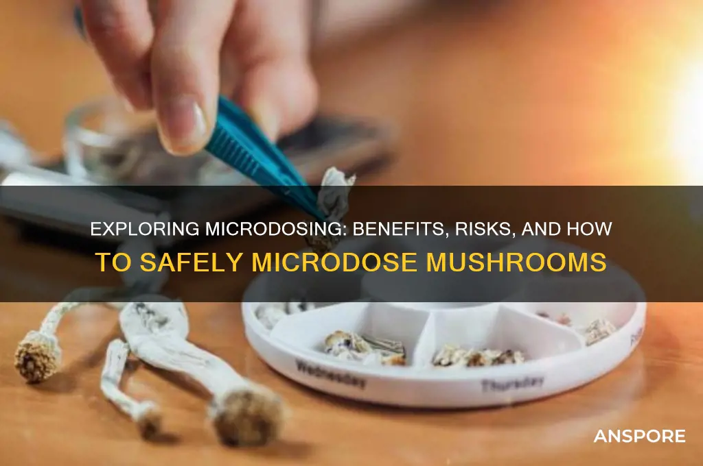 can you microdose mushrooms