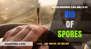 Microwaving Glass MMJ: Effective Method to Eliminate Spores?