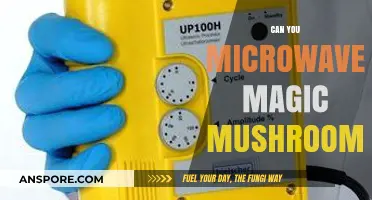 Microwaving Magic Mushrooms: Safe Practice or Risky Experiment?