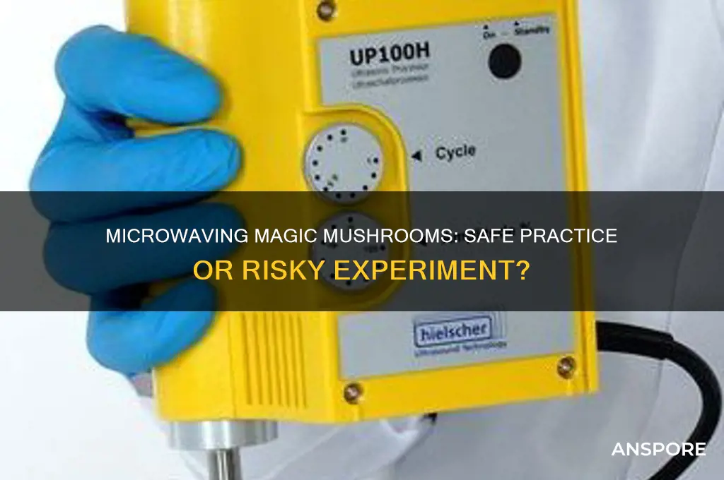 can you microwave magic mushrooms