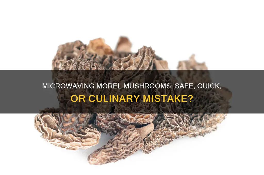 can you microwave morel mushrooms