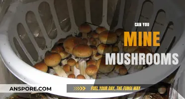 Can You Mine Mushrooms? Unveiling the Truth Behind Fungal Harvesting