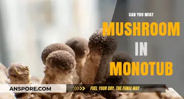 Mist Mushrooms in Monotub: Best Practices for Healthy Growth