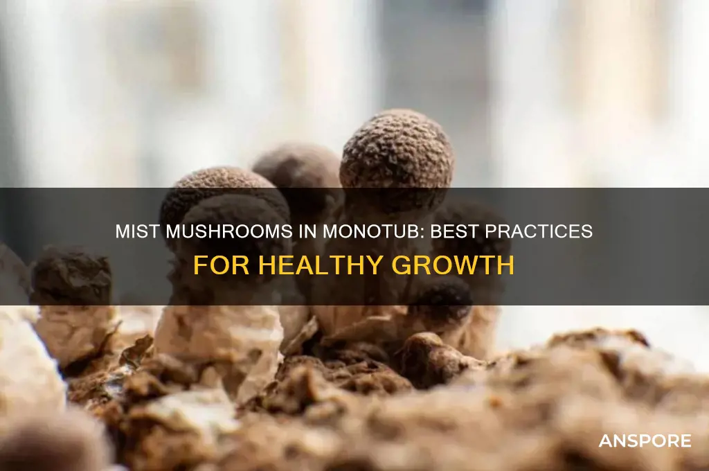 can you mist mushrooms in monotub