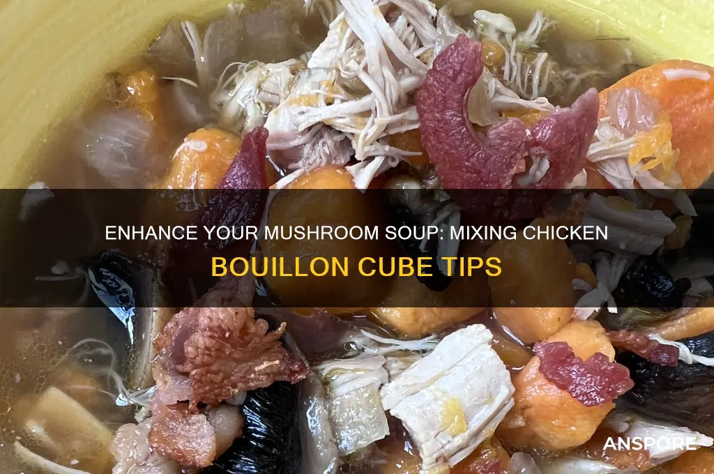can you mix a chicken bouillon cube into mushroom soup