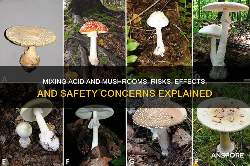 can you mix acid and mushrooms