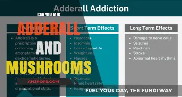 Mixing Adderall and Mushrooms: Risks, Effects, and Safety Concerns