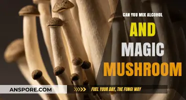 Mixing Alcohol and Magic Mushrooms: Risks, Effects, and Safety Tips