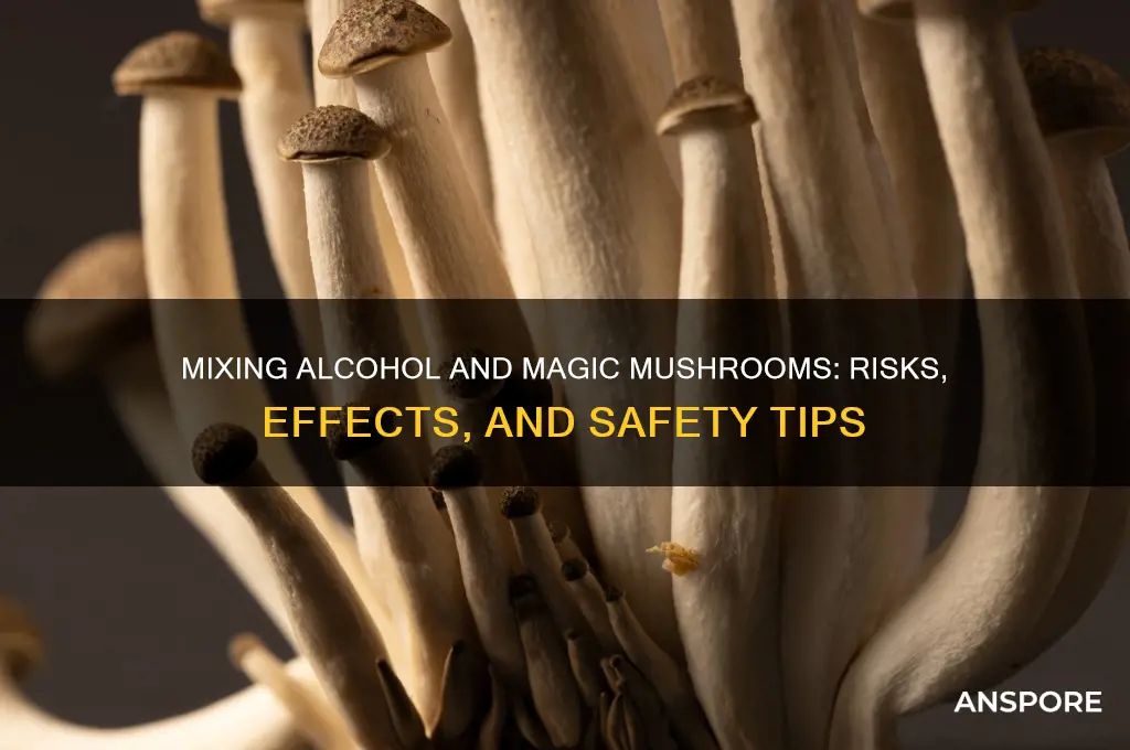 can you mix alcohol and magic mushrooms