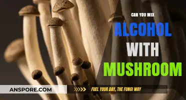 Mixing Alcohol and Mushrooms: Risks, Effects, and Safety Tips