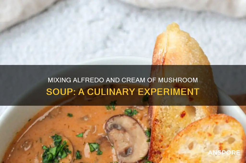 can you mix alfredo and cream of mushroom soup