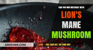 Beetroot and Lion's Mane Mushroom: A Nutritional Power Duo?