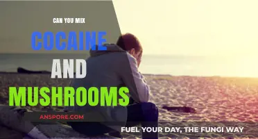 Mixing Cocaine and Mushrooms: Risks, Effects, and Dangers Explained