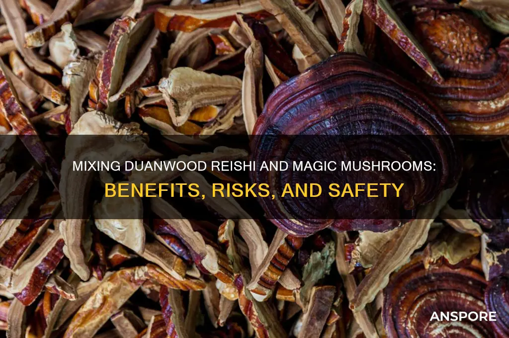 can you mix duanwood reishi with magic mushrooms