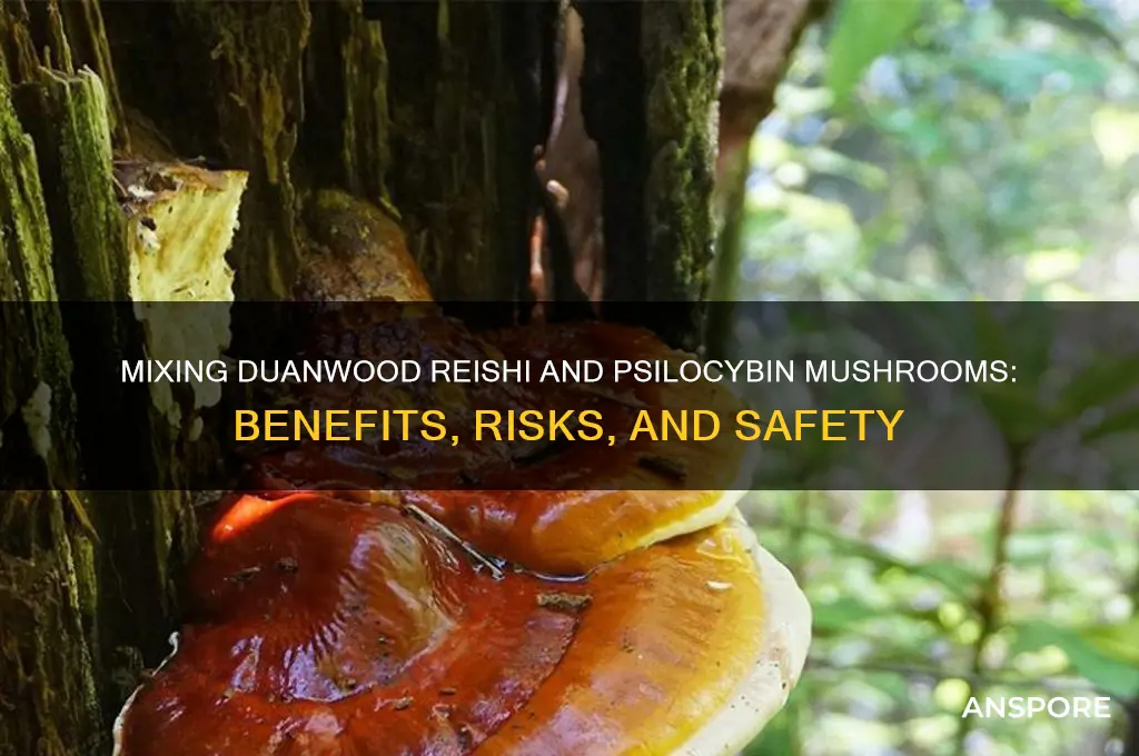 can you mix duanwood reishi with psylocilbin mushrooms