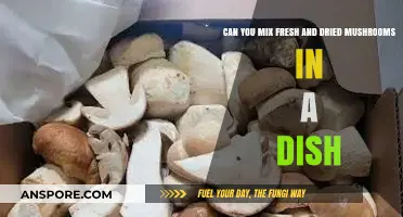 Mixing Fresh and Dried Mushrooms: A Flavorful Culinary Adventure