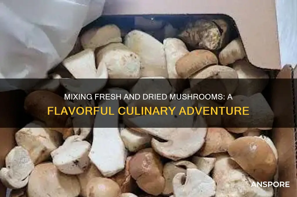 can you mix fresh and dried mushrooms in a dish