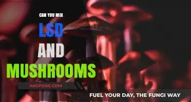 Mixing LSD and Mushrooms: Risks, Effects, and Safety Concerns