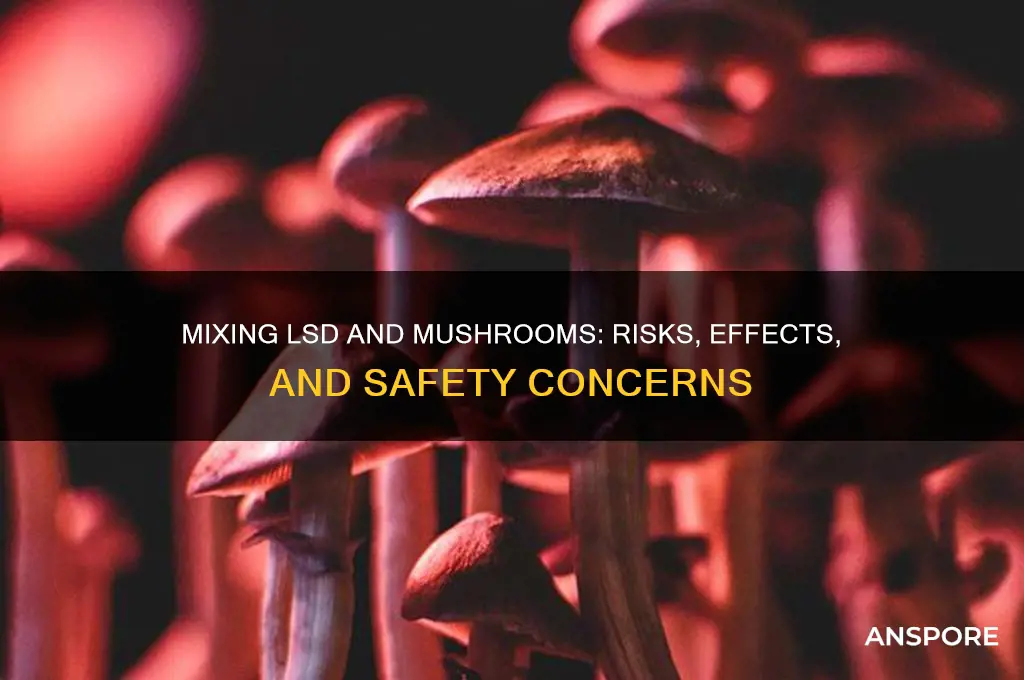 can you mix lsd and mushrooms