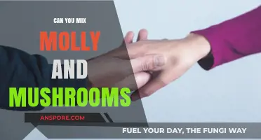 Mixing Molly and Mushrooms: Risks, Effects, and Safety Concerns