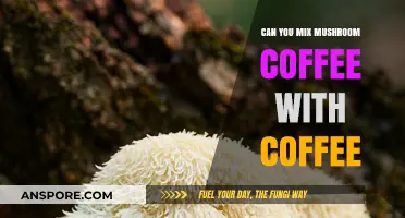 Mushroom Coffee Meets Brew: Mixing Benefits, Taste, and Tips