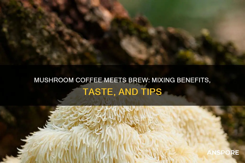 can you mix mushroom coffee with coffee