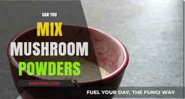 Mixing Mushroom Powders: Benefits, Risks, and Best Practices Explained