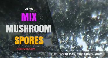 Mixing Mushroom Spores: Risks, Benefits, and Best Practices Explained