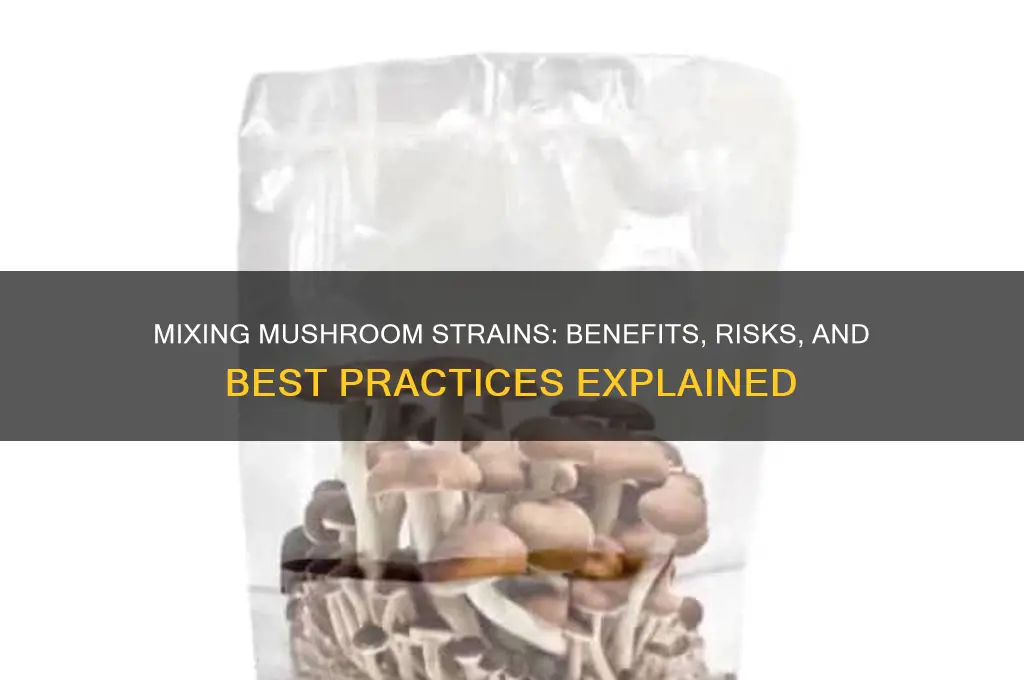 can you mix mushroom strains