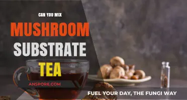 Mixing Mushroom Substrate Tea: Benefits, Risks, and Best Practices