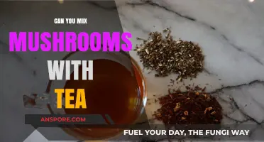 Mushrooms in Tea: Benefits, Risks, and Brewing Tips Explained