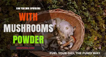 Spirulina and Mushroom Powder: A Nutritious Blend or Not?