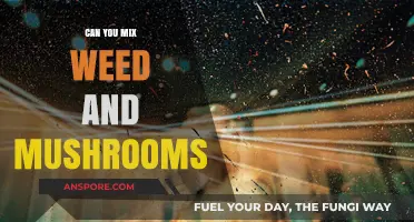 Mixing Weed and Mushrooms: Risks, Effects, and Safety Tips