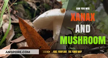 Mixing Xanax and Mushrooms: Risks, Effects, and Safety Concerns