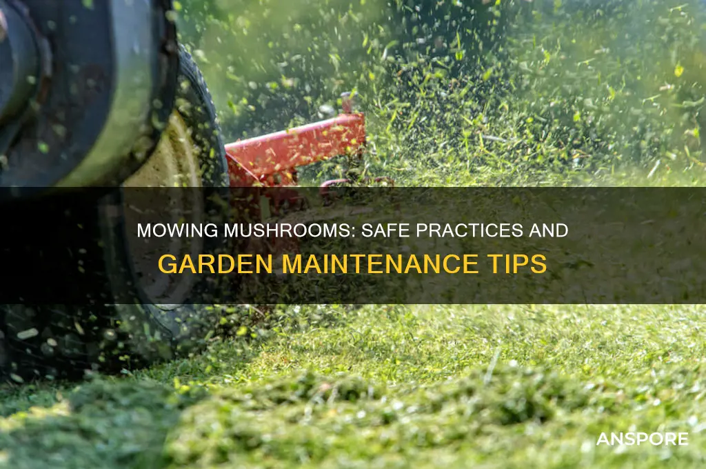 can you mow down mushrooms
