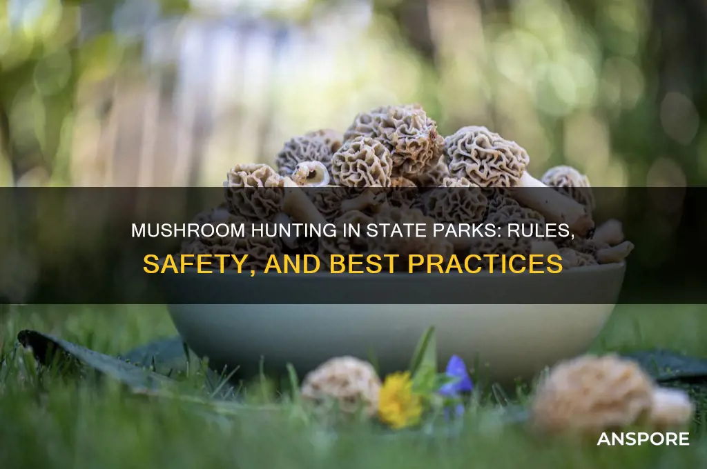 can you mushroom hunt in state parks