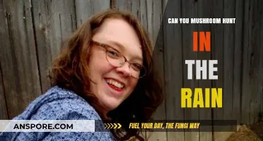 Mushroom Hunting in the Rain: Tips for a Successful Foray