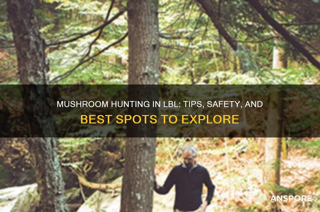 can you mushroom hunt lbl