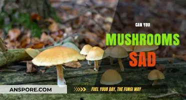 Can Mushrooms Affect Your Mood? Exploring the Link to Sadness