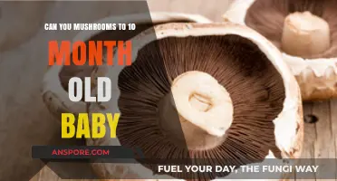 Introducing Mushrooms to Your 10-Month-Old Baby: Safety and Tips