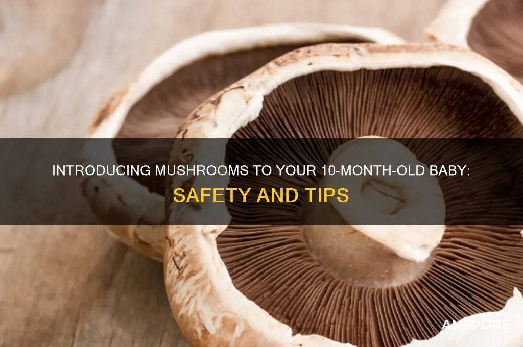 can you mushrooms to 10 month old baby