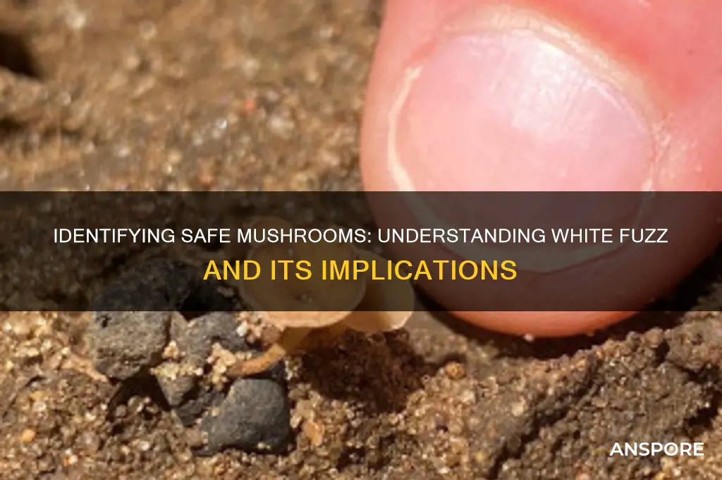 can you mushrooms with white fuzz