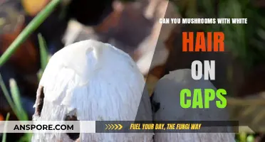 White Hair on Mushroom Caps: Safe to Eat or Toxic?