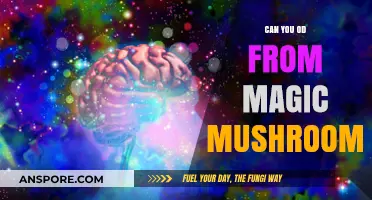 Magic Mushrooms Overdose: Debunking Myths and Understanding Real Risks