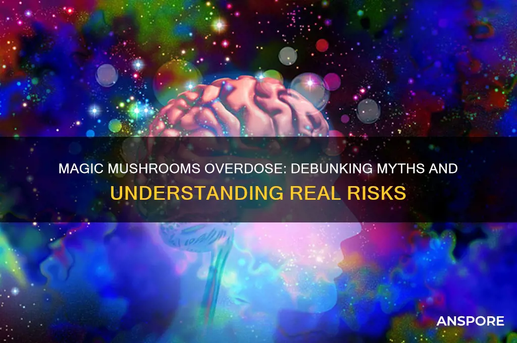 can you od from magic mushrooms