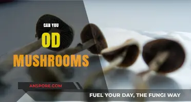 Can You Overdose on Mushrooms? Risks and Safety Explained