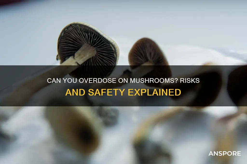 can you od mushrooms